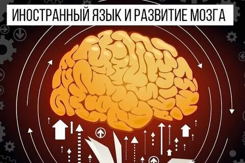 Мозг читает