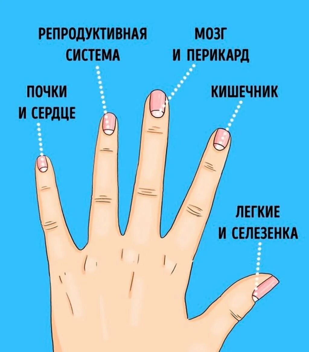 На каком пальце ноготь растет быстрее всего. Болезни ногтей на руках таблица. определить заболевание по ногтям. болезни по ногтям пальцев рук. выявление заболеваний по ногтям рук.
