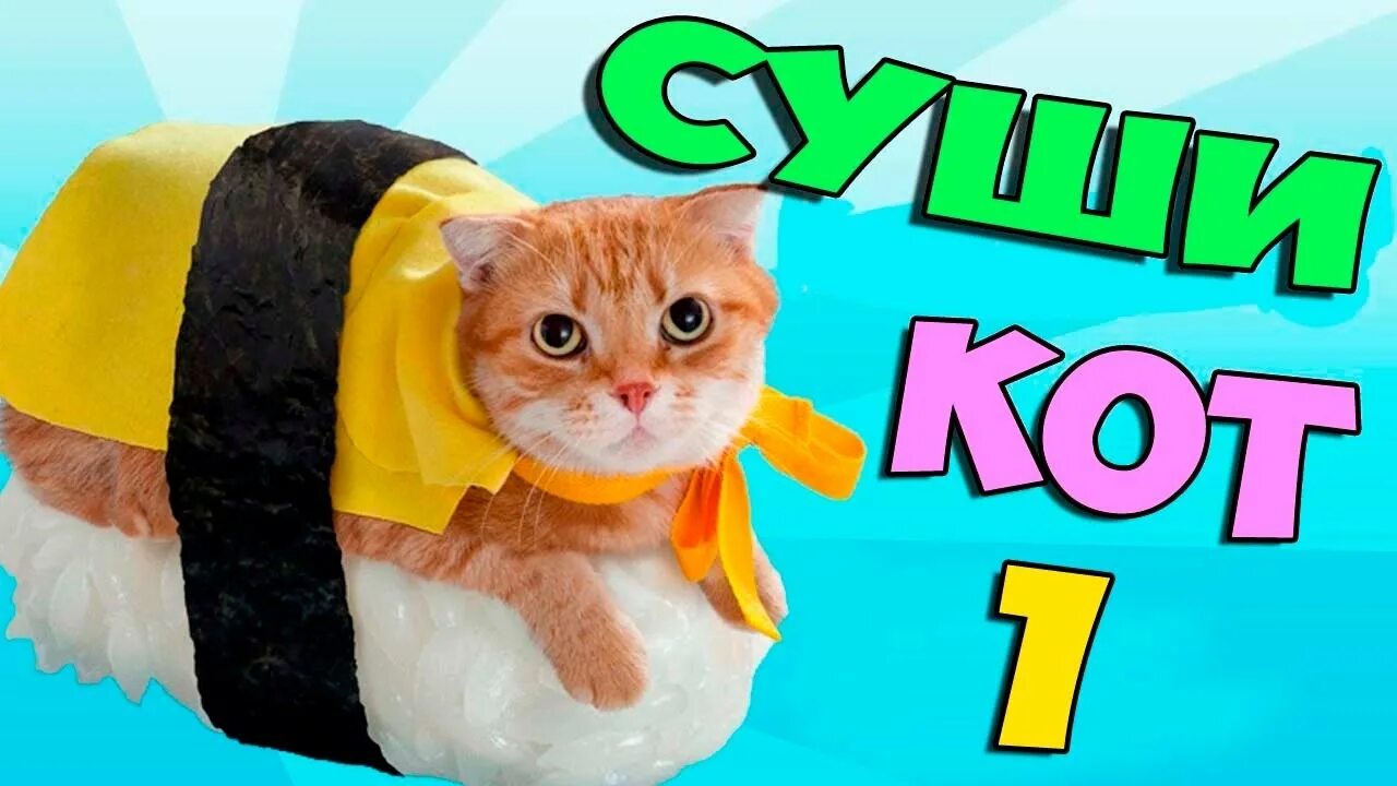 Суше кот. Суши кот игра. суши кэт игра. суши кот 2. суши коты игра.