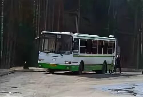 Навигатор 44 костромская область