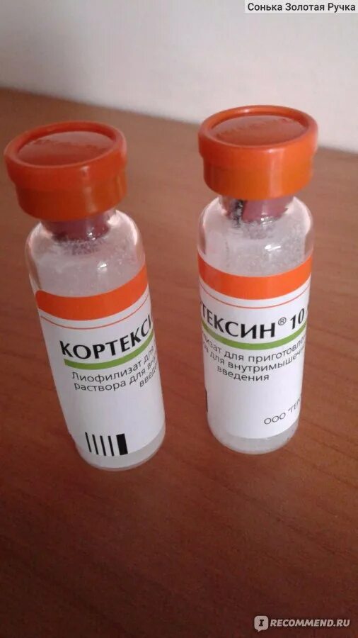 Кортексин церебролизин отзывы. Церебролизин при онкологии. Кортексин церебролизин отзывы. Церебролизин или кортексин детям. Кортексин церебролизин отзывы.