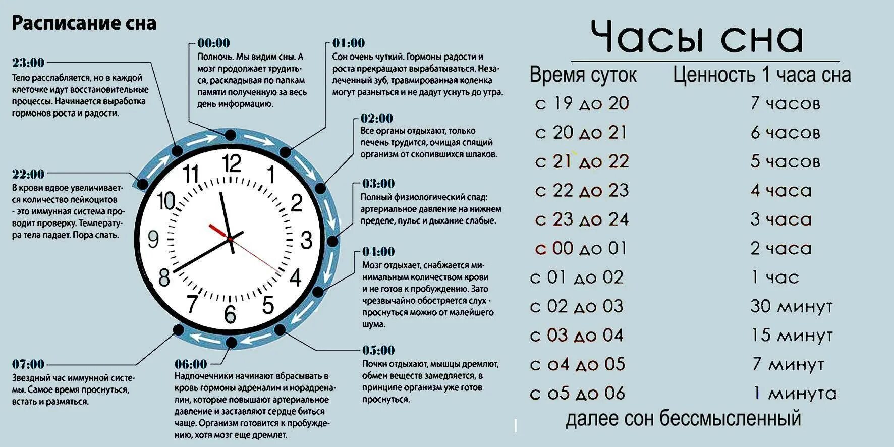 Эффективность сна по часам таблица. Ценность часов сна таблица. Ценность сна по часам таблица днем. Значимость сна по часам таблица.