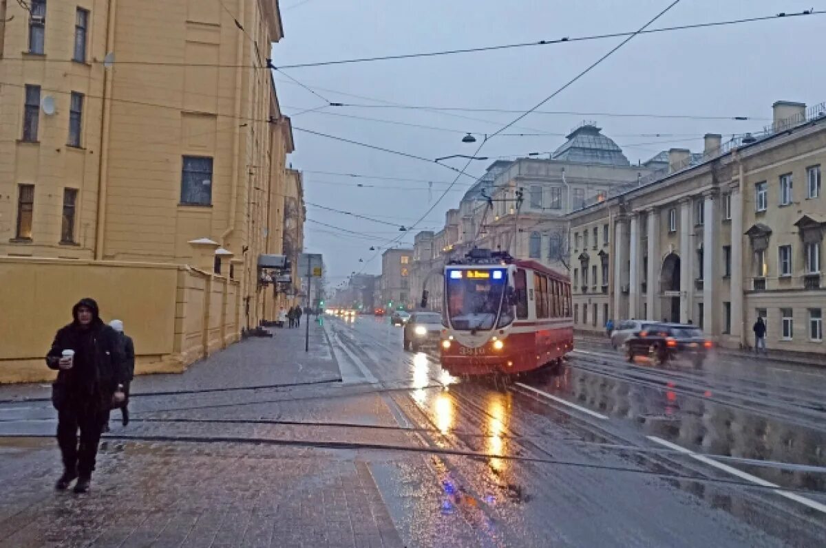 Климат Питера. Питер в январе. Дождь в Петербурге. Ветер в Питере.