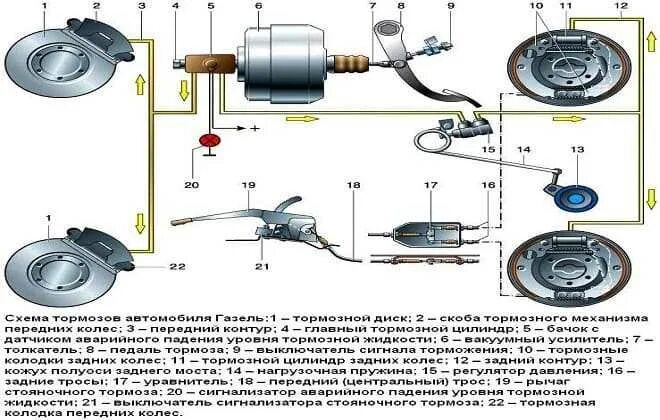 Тормоза появляются после. Тормозные трубки Газель 3302 схема. Схема тормозной системы ГАЗ 3302 С АБС. Тормозная система Газель 3302. Стояночный тормоз Газель 3302 схема.