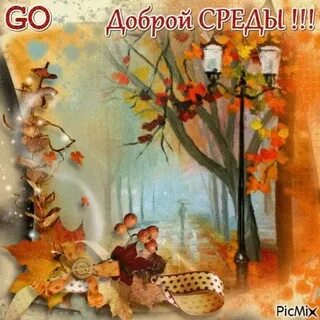 Среда осени природы