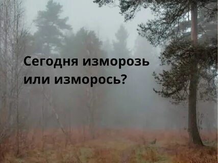 Составить предложение со словом изморось