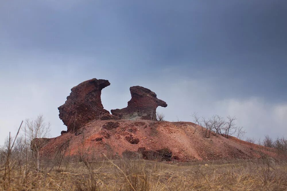 Гвардейка. Гвардейка. Гвардейка рогатый террикон. Гвардейка. Террикон гвардейка.
