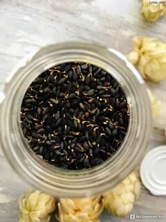 Кунжут суточная