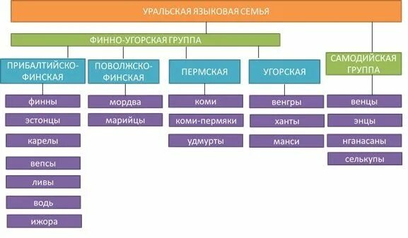 Уральская семья какие народы. Уральская семья финно-угорская группа. Уральская языковая семья финно-угорская группа. Уральская языковая семья схема. Уральская языковая семья языковые группы.