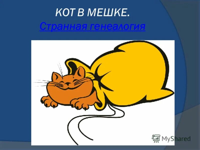 Кот в мешке пословица. Кот в мешке. кот в мешке рисунок. кот в мешке фразеологизм. фразеологизм кот в мешке рисунок.