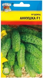 Огурцы сорт аннушка