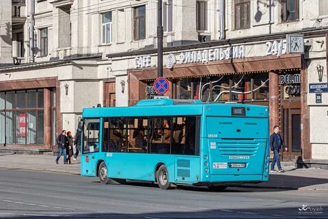 Автобус 281 спб