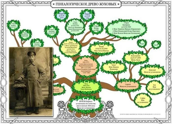 Головлевы семейное Древо. Господа Головлевы семейное Древо. Родословная дерево. Геологическое Древо. Древо прав