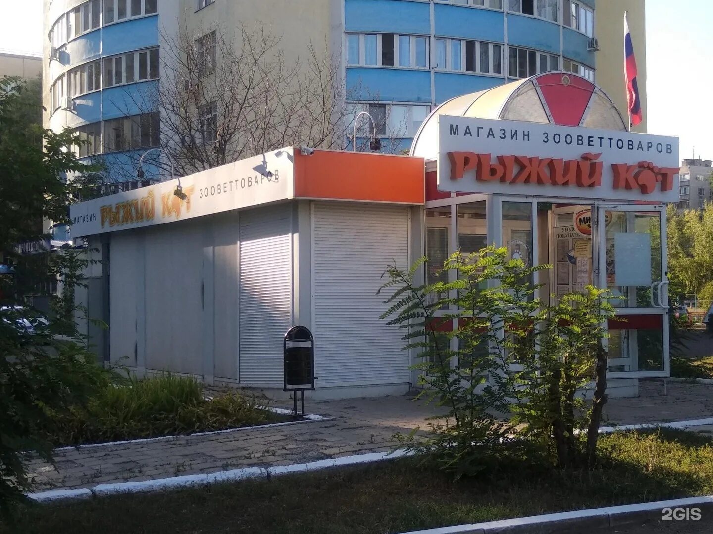 ветклиника рыжий кот оренбург. веткабинет рыжий кот оренбург. веткабинет рыжий кот оренбург. клиника рыжий кот нижний новгород. рыжий кот зоотовары.