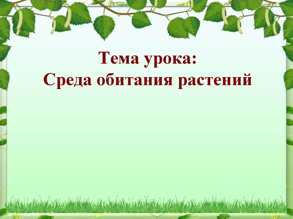 Среда обитания растений. Растения по среде обитания. Среда обитания растений 5 класс. Среда обитания растений 6 класс.