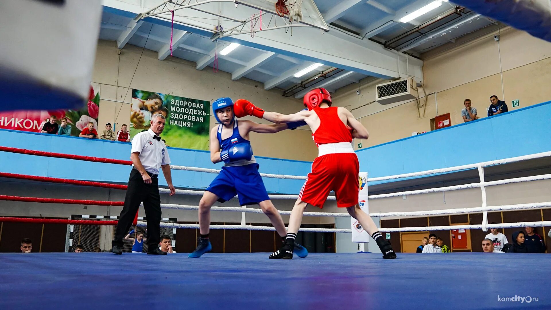 кубок амура 2014 год