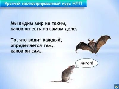 Когда мы смотрим не на видимое