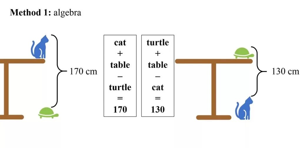 Задача высота стола. Задача про стол кота и черепаху. Задача высота стола кот черепаха. Задача про высоту стола. Китайская задача про стол кота и черепаху.