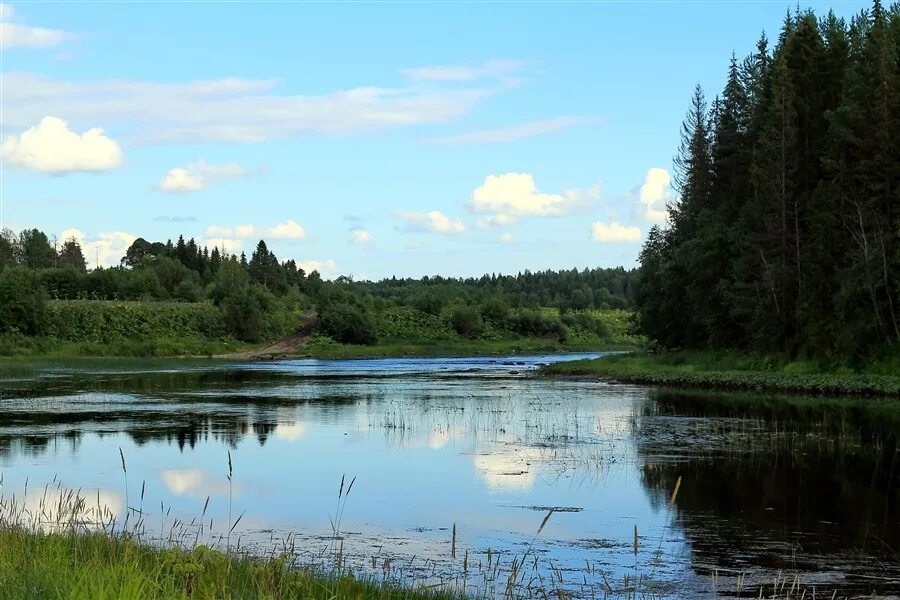 Файл:Река Елюга.jpg - Википедия