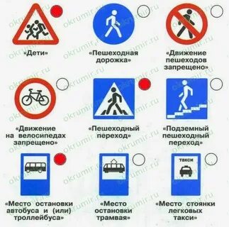 Пдд 5 8 класс