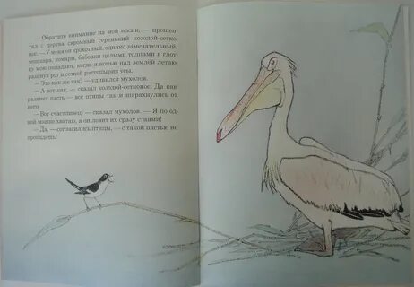 Бианки читательский дневник 1 класс