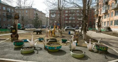Цветном красноярск