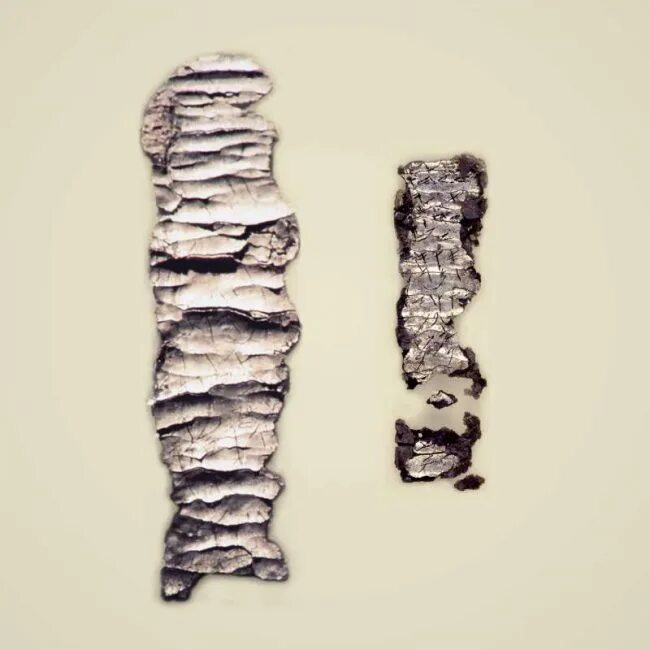 Серебряные свитки. Scroll of taiwu sect. Серебряный свиток джераша. Серебряные свитки. Свиток серебра.
