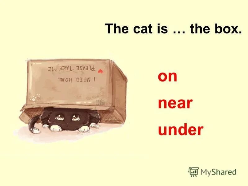 предлоги маста на английском. Under we перевод. Prepositions of place предлоги места. Under транскрипция. Under перевод на русский язык с английского языка.