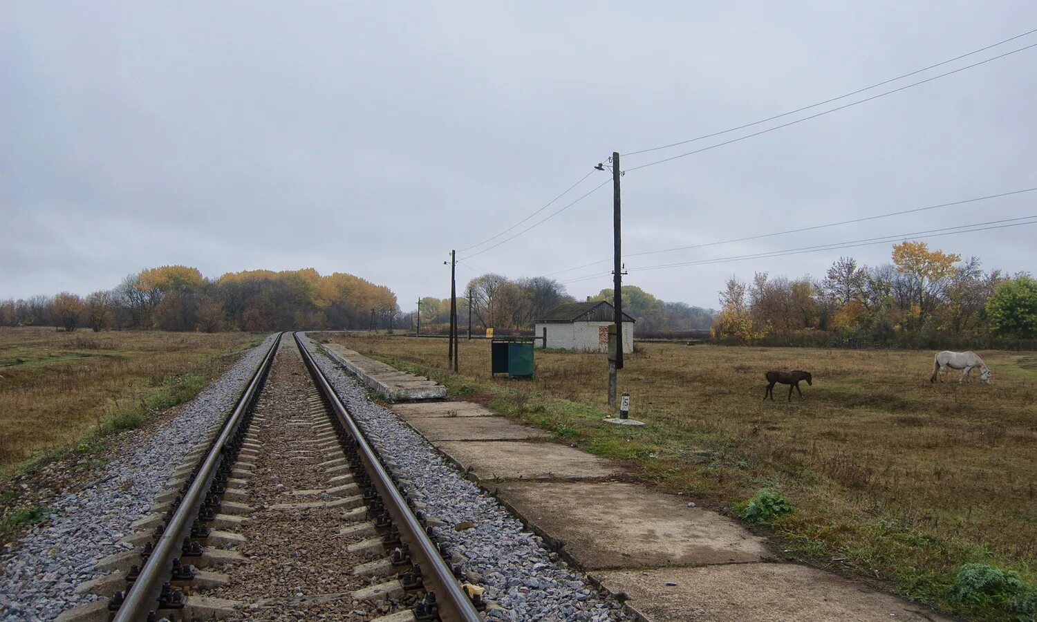 Погода в морсово