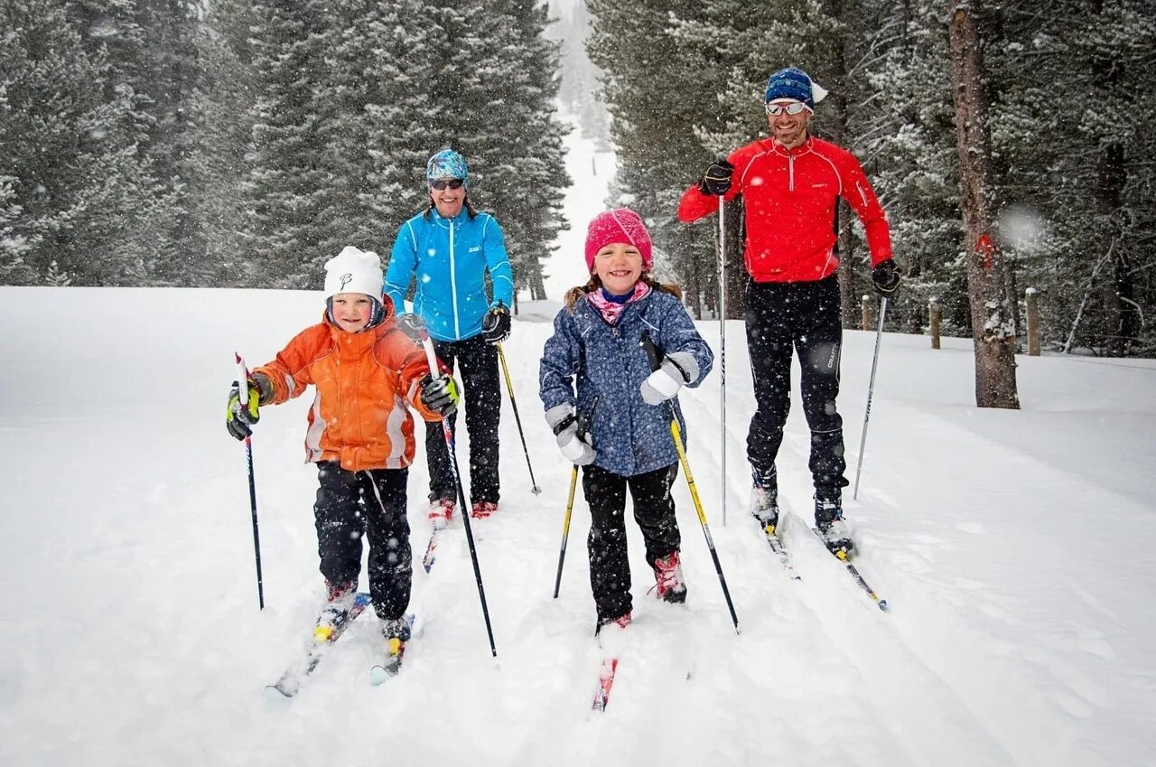 Прогулка на лыжах. Семья на лыжах. Покататься на лыжах. Семейная прогулка на лыжах. Семья лыжников