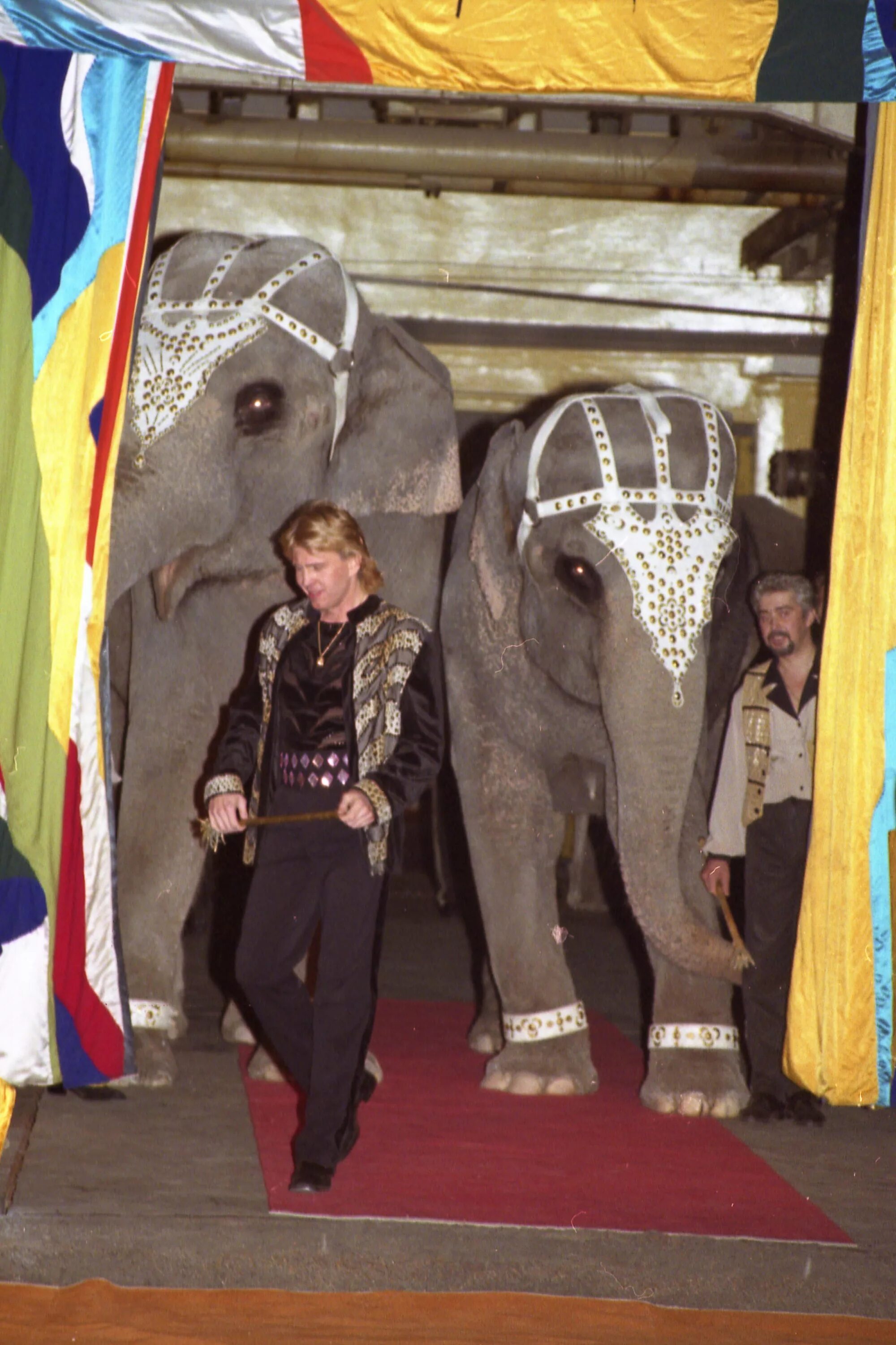 слоны корниловых. андрей корнилов дрессировщик. алексей дементьев корнилов. династия дрессировщиков слонов корниловых. слоны корниловых.