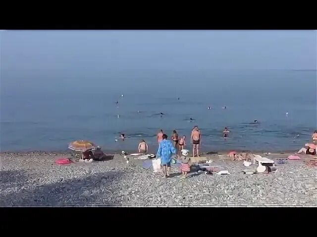 Рп5 лазаревское краснодарский