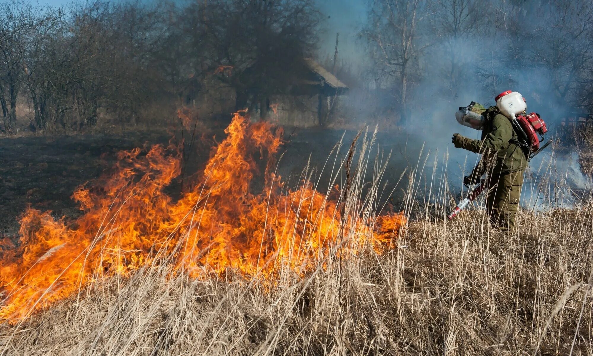 Сжигание сухой травы. Пожар сухой травы. Сухая трава огонь. Сжигание травы. Сухая трава огонь.