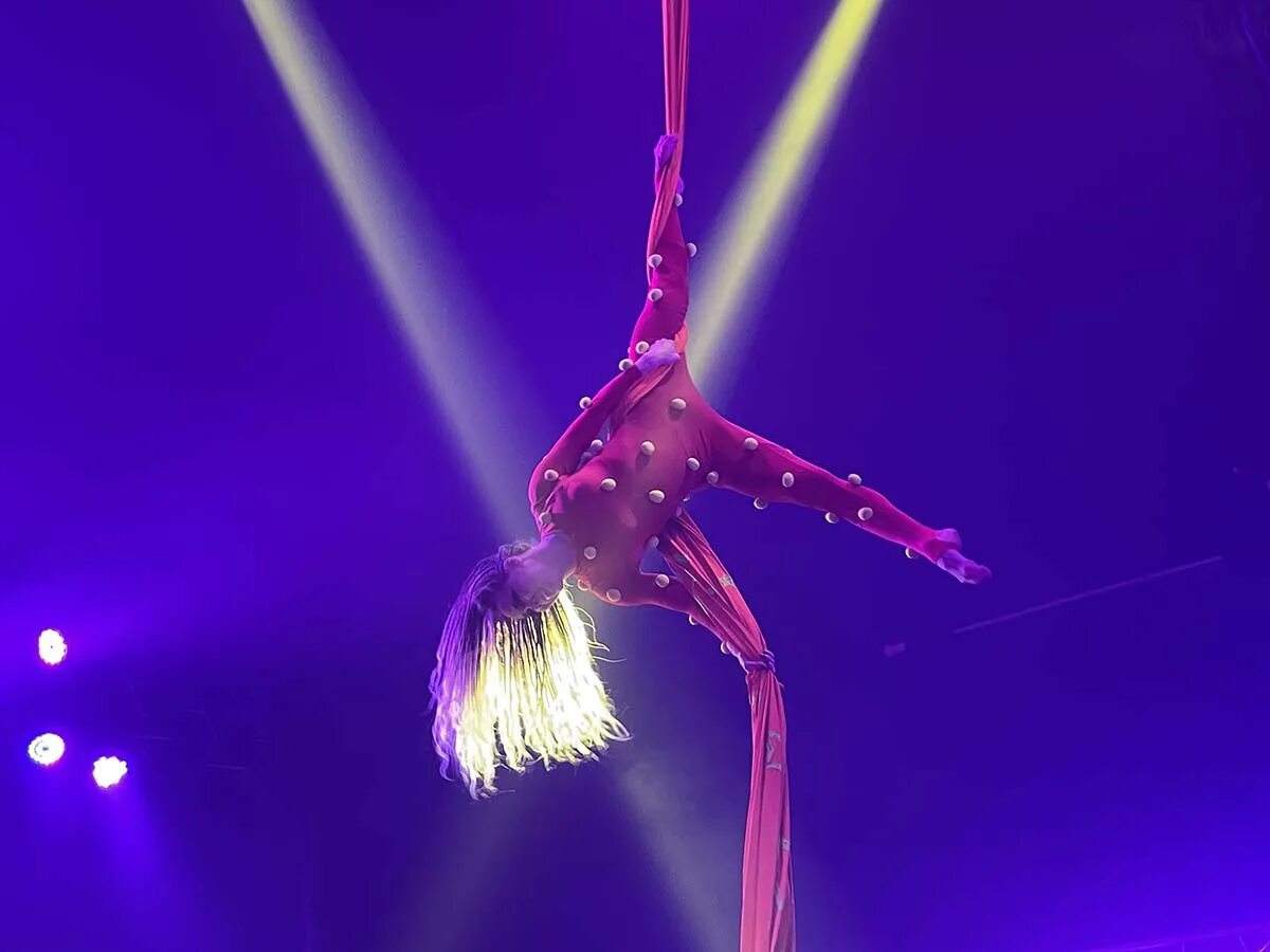 Детский цирковой номер. Гимнасты в цирке. Гимнасты дю солей. Цирк гии эрадзе жонглеры. Цирковой артист 11 букв.