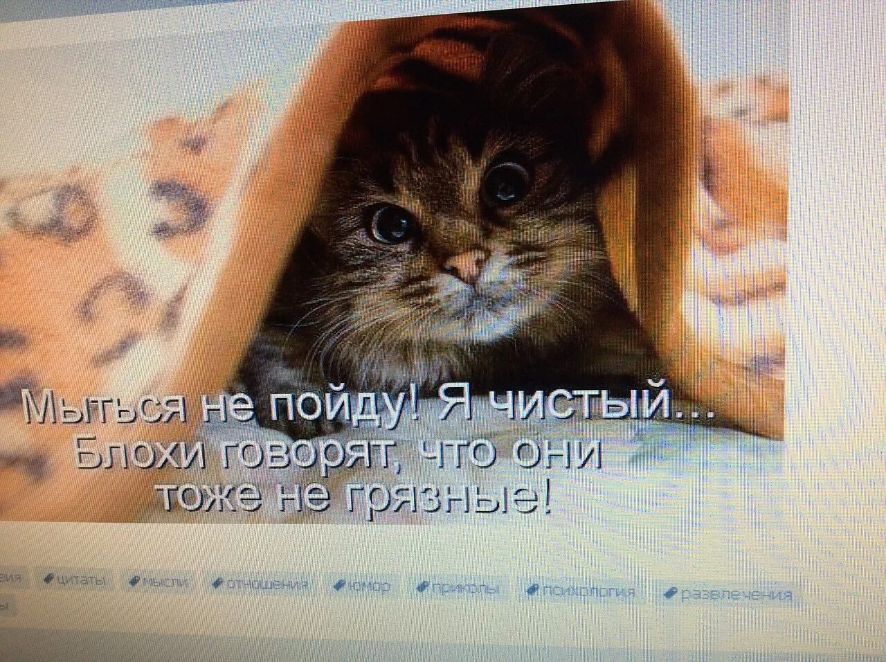Хочу чтобы после меня было чисто