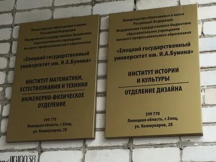 Институты г елец