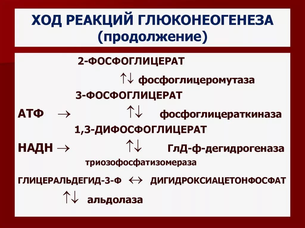 Ферменты глюконеогенеза. Глюконеогенез реакции формулы. Глюконеогенез реакции биохимия. 3 Обходные реакции глюконеогенеза. Необратимые реакции глюконеогенеза.