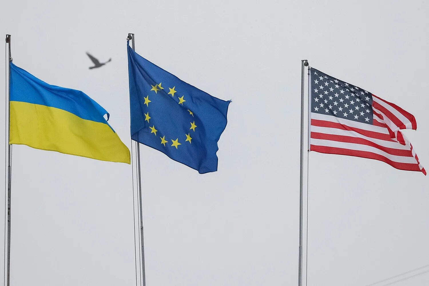 Сша против россии украина. Украина ЕС. Флаг Украины , ЕС, НАТО, США. США Евросоюз Украина и РФ. Украина НАТО ЕС.