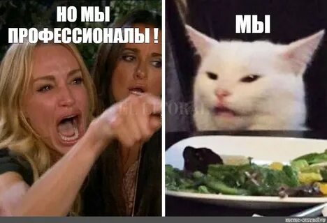 Но мы же кошки