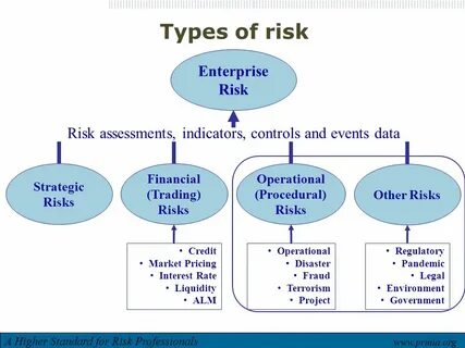 Risks org