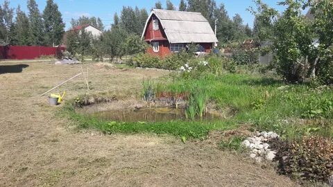 Погода в форносово тосненский