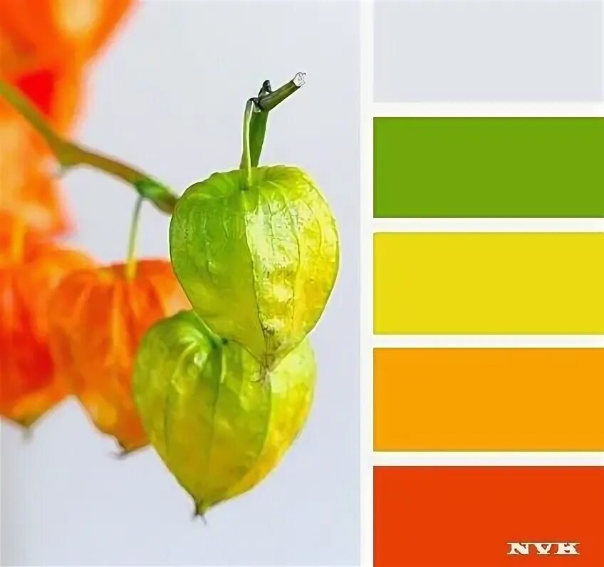20's colour palette - Google zoeken Схема смешивания цветов, Вдохновляющие цвета