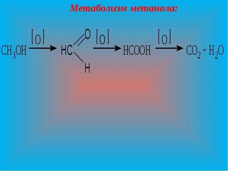 Окислением метанола получают. Метаболизм метанола. Окисление метанола в организме. Биотрансформация метанола. Схема метаболизма метанола.