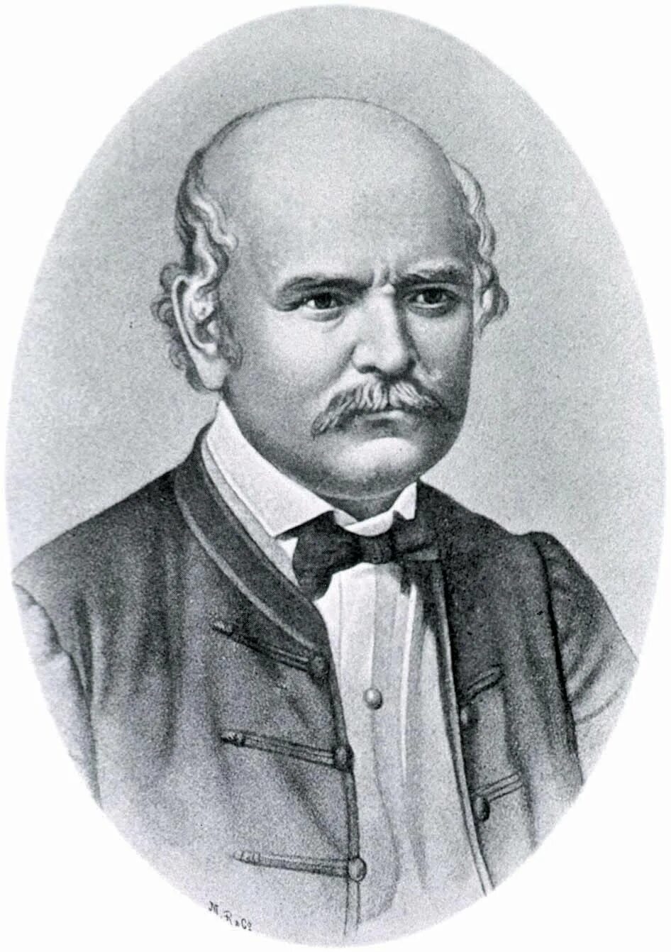 Земельвейс биография. Венгерский врач игнац земмельвейс. Земельвейс биография. Игнац земмельвейс презентация. Земельвейс биография.