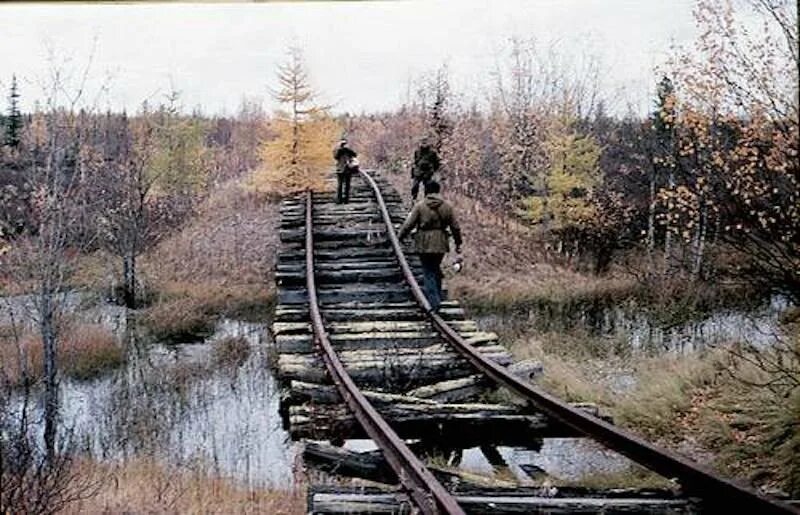 Сталинская железная дорога Салехард Игарка. Магистраль Салехард Игарка. Мёртвая дорога Салехард Игарка. Трансполярная магистраль мертвая дорога. Салехард игарка