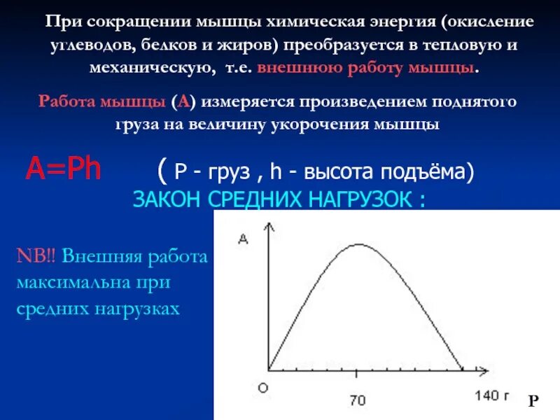 График зависимости силы скорости. Зависимость силы от скорости мышечного сокращения. Зависимость работы от нагрузки. Зависимость работы от нагрузки. Зависимость работы от нагрузки.