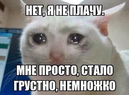 i?id=a8f7c03a522df302e8c19c533b47c23e8f1cb3b4-8975527-images-thumbs&n=13