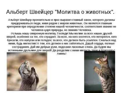 Молитва власию о животных