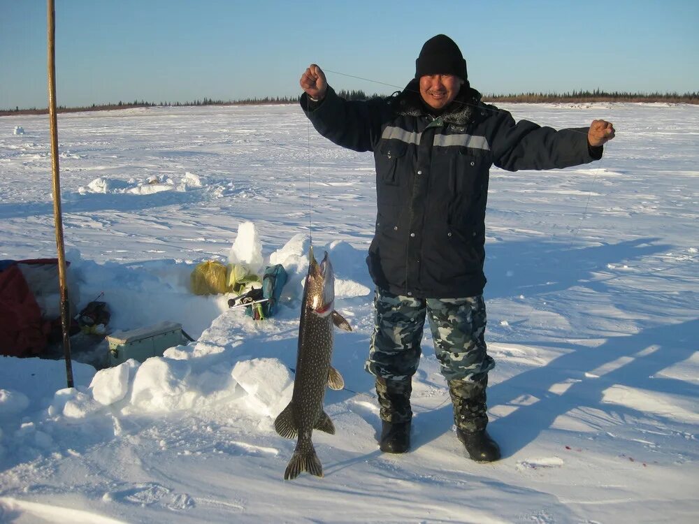 Рыбалка в ульяновске в контакте. Рыбак зимой. Улов рыбака зимой. Секрета рыболовные. Конкурс зимний улов.