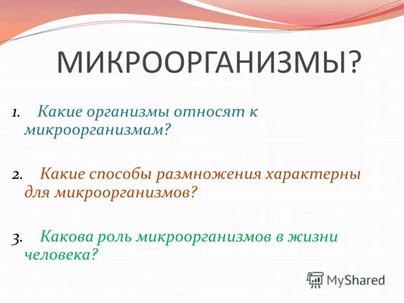 Какие организмы относятся к данной группе. К микроорганизмам относят. Какие организмы относятся к микроорганизмам. Какие способы размножения характерны для микроорганизмов.